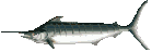 :swordfish: