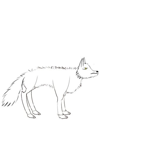 wolf_drawing.jpg