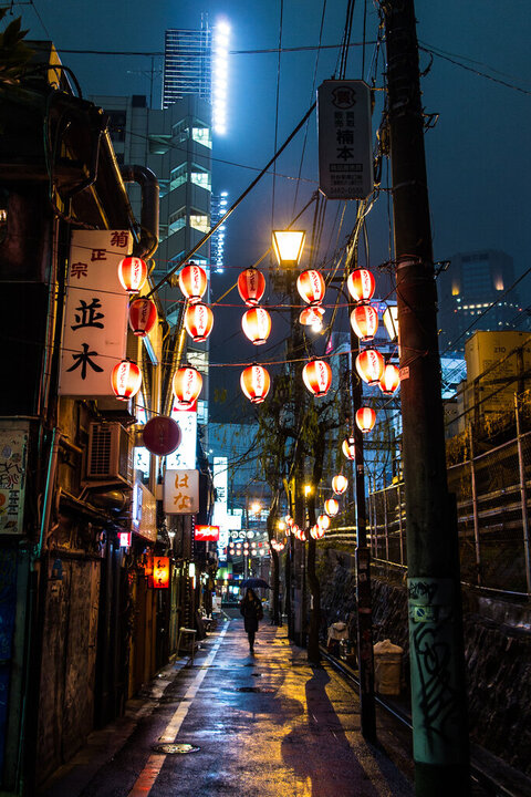 japanese alleyway 5.jpg