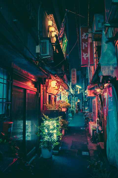 japanese alleyway 7.jpg