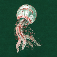 Jellyfish Conan