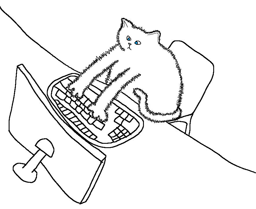 cat posting on 4ch.png