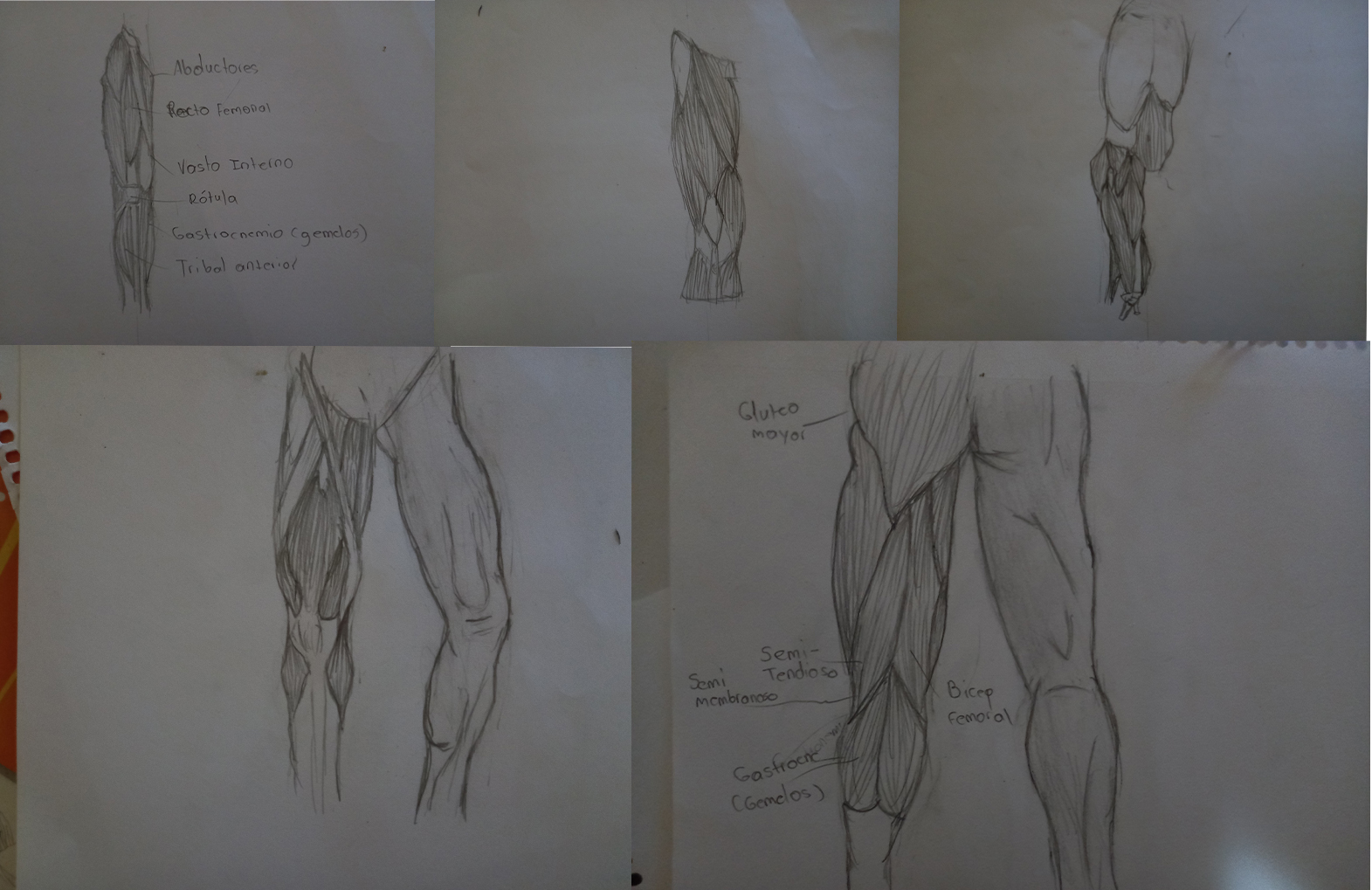 Dibujo de piernas.jpg