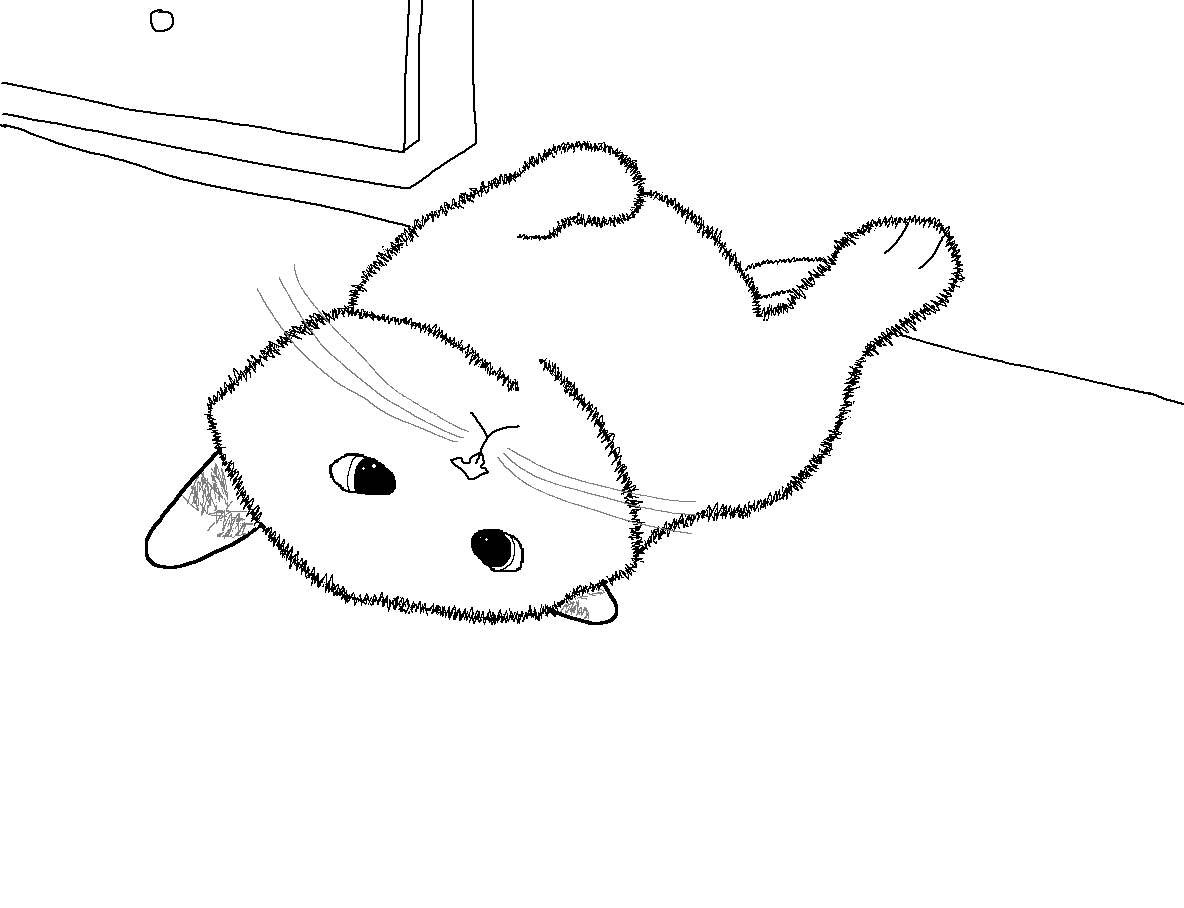 draw cat 2.png